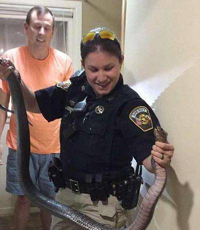 居民屋内发现一条巨大的蛇，女警察徒手将其抓住！！！