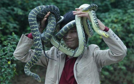 蛇娃幻想自己是蛇类，看到陌生人就开咬(4)