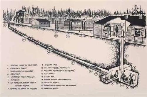 战俘|二战最“搞笑”的越狱：600人偷挖隧道1年，逃跑时才发现少挖3米