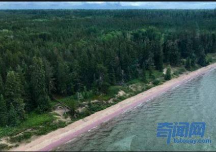加拿大神秘湖泊现紫色海滩 每次变化都是依据季节而改变！