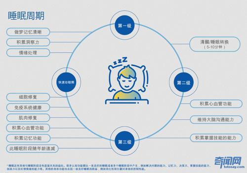 「脑脊液」半夜不睡觉的朋友们注意了！根据研究显示：熬夜真的会变笨！