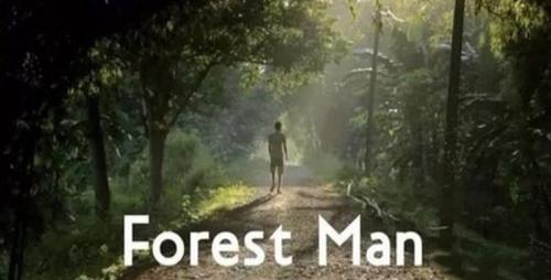 印度男子花36年打造一片原始森林，养活成群老虎大象