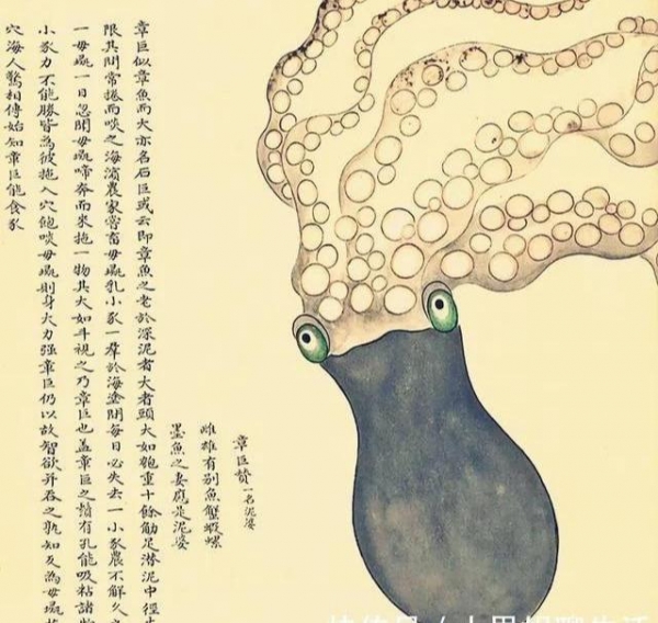 像是|一本300年前的古册，画着奇怪的“异形”，网友：越看越可怕