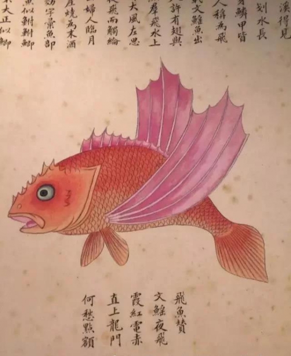 像是|一本300年前的古册，画着奇怪的“异形”，网友：越看越可怕