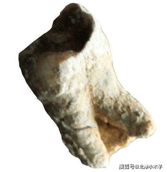 @曹操身世错了1800年？专家专家考古得出结论：史书全都写错了