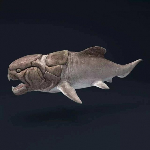 地球上最早的海洋霸主，没牙齿咬合力却惊人，一口能将鲨鱼撕两半
