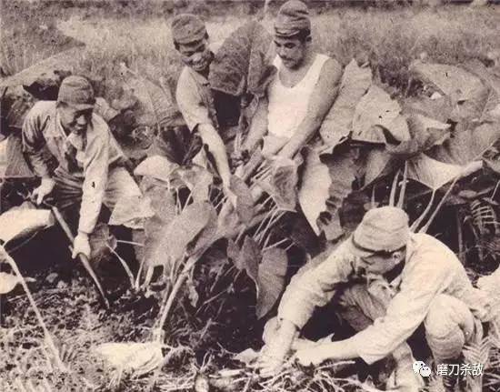 【日本】日本女兵为何不肯当苏联战俘，为何她们都选择中国呢？