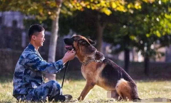 日本侵华时曾训练过一动物，咬死无数中国人，如今中国遍地都是