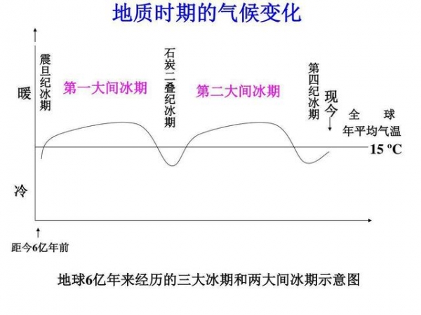 [水母]地球上有哪些违背自然规律的生物？它们的出现能推翻进化论吗？