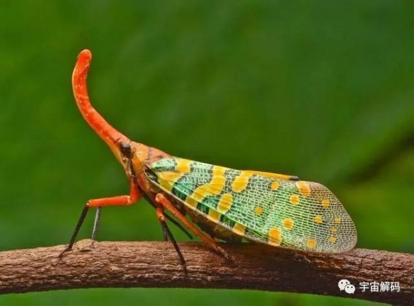 「地球」地球走过五次生物灭绝，如今永久冻土正在苏醒，对人类什么影响？