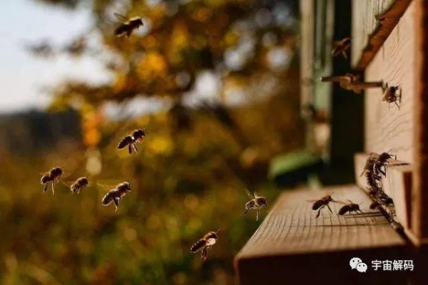 「地球」地球走过五次生物灭绝，如今永久冻土正在苏醒，对人类什么影响？