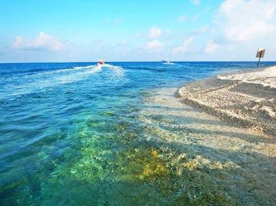 大西洋|同样是海水，为何大西洋与太平洋的海水不相融？说出来你可能不信