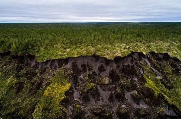 冻土层|46000年前古生物重现人间，永久冻土加速融化，科学家又喜又悲