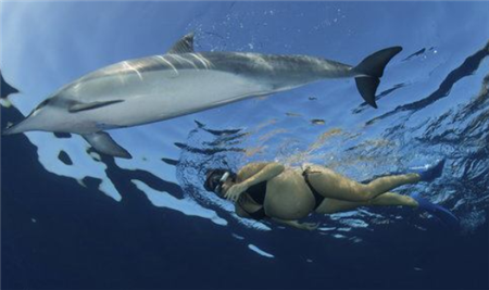 海豚为何对女性那么感兴趣？尤其是孕妇，原因曝光后让人大开眼界(5)
