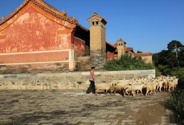 |清朝灭亡108年，为何清皇陵仍有守墓人，工资谁发？说出来别不信