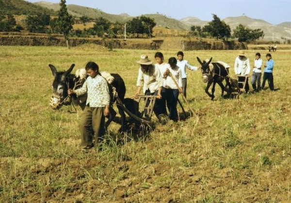 首都|1949年选首都，共11个城市候选，为什么最终定了北京？