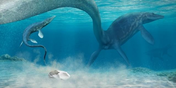 科学家在南极洲发现的巨型蛋可能是古代海洋爬行动物沧龙所产