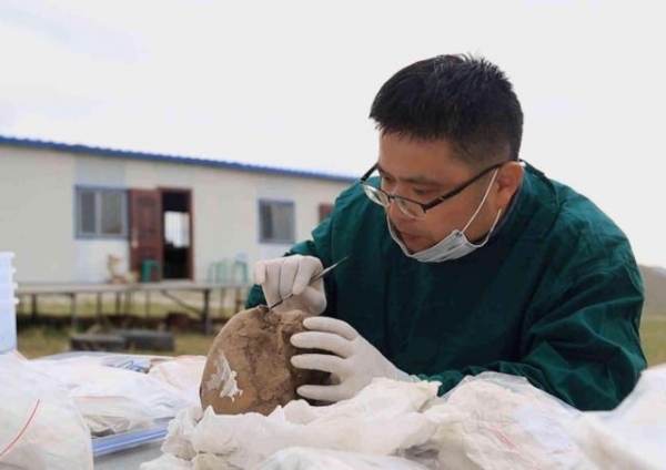 女孩|7000年古墓出土少女遗骸，身上插18把凶器，专家看后倒吸一口凉气