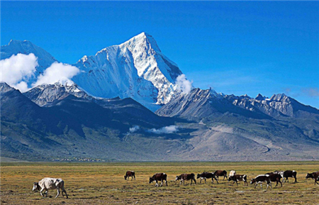 喜马拉雅山中藏600年古国，最后一任国王08年过世，原来这才是西藏最大的秘密