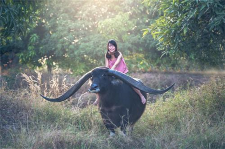 女生|为何请柬埔塞女生来中国玩，竟遭到她们拒绝？看看当地人怎么说？