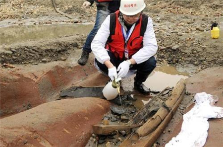 岷江|老农在岷江捡到一枚“金虎”，1300万卖掉，3年后被严惩