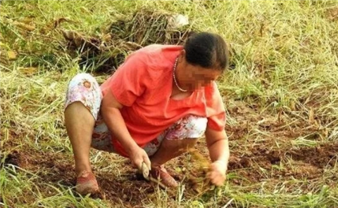 坛子|夫妻两人在自家菜地, 挖出价值十几万的坛子, 打开后吓出一身冷汗