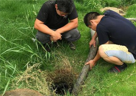 男子|男子清理地下管道，挖开后发现不对劲，用棍子挑开后浑身冒冷汗