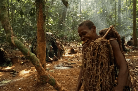 巴卡|原始雨林的矮人部落，平均身高1.3米，靠喝露水吃白蚁充饥