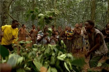 巴卡|原始雨林的矮人部落，平均身高1.3米，靠喝露水吃白蚁充饥