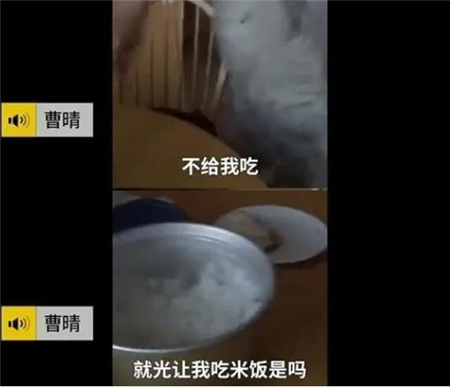 曹晴|央视女主持人：嫁富豪遭家暴，一包卫生巾用一年