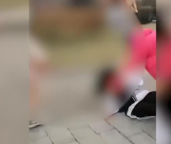 关某 吉林一女中学生被10多人群殴，扯头发加猛踹，现场画面令人发指