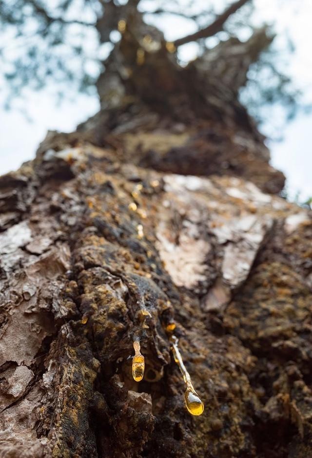 老孙|两宋传奇之群雄争霸