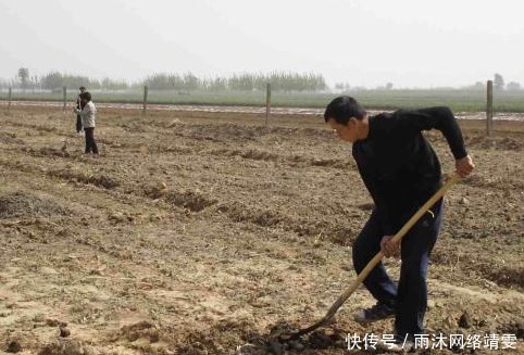 长势|皇帝私访，见一农夫叹气，上去问了几句话，气得将县令斩首示众