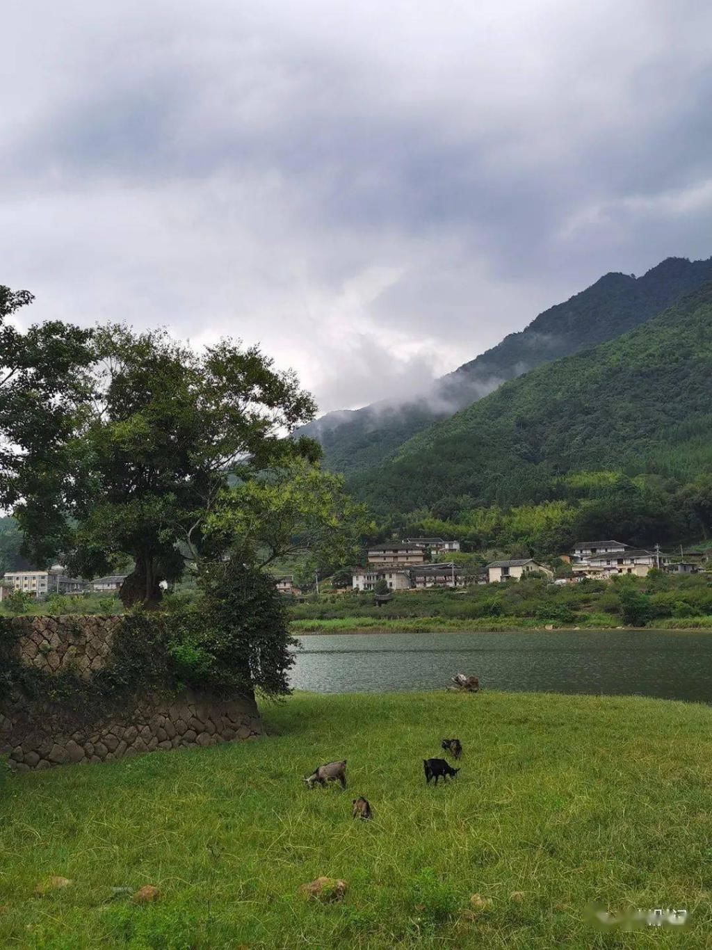 大喜|福建“泸沽湖”，国庆要办“村宴”，想参加吗？美食美景全都有