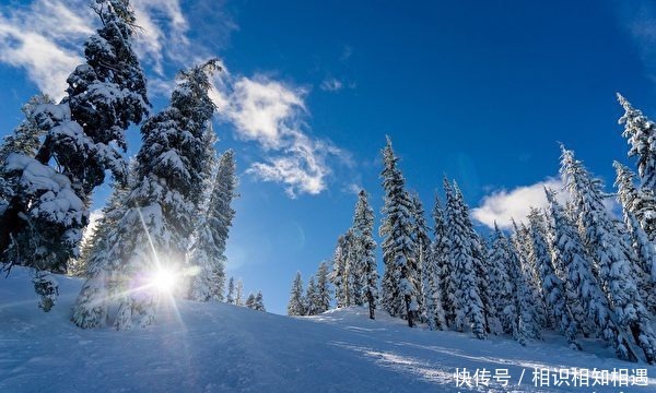 苏武|苏武在北海放了19年羊，匈奴人不给吃不给喝，他怎么活下来的？