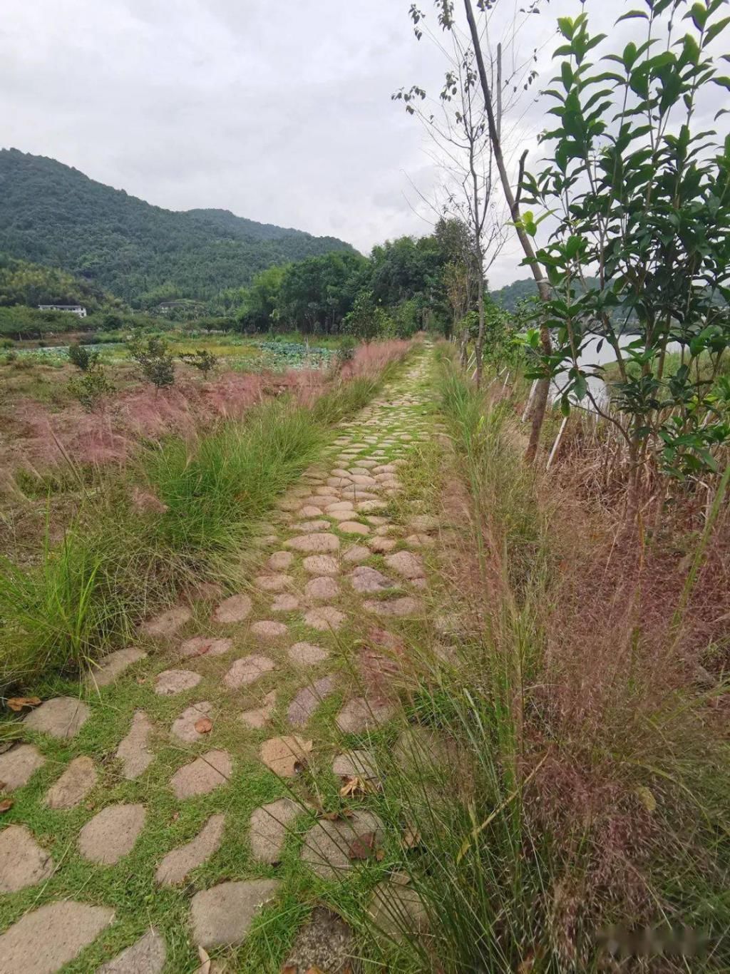 大喜|福建“泸沽湖”，国庆要办“村宴”，想参加吗？美食美景全都有