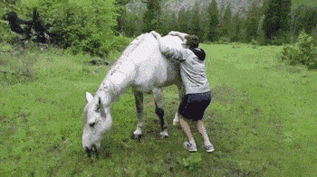 搞笑GIF趣图:哥们，第一次骑马吧，估计以后你不能再骑马了！