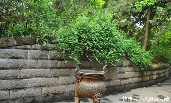 武侯祠|蜀汉皇帝刘备墓，1700多年来从未被盗，知道原因吗