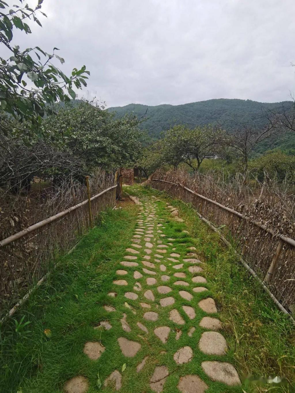 大喜|福建“泸沽湖”，国庆要办“村宴”，想参加吗？美食美景全都有