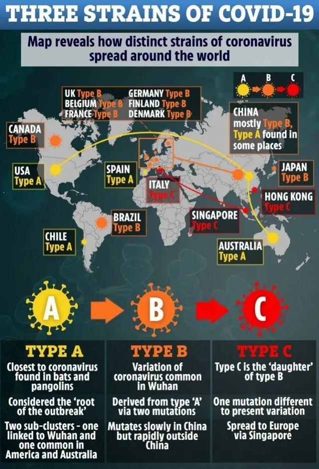 病毒■专家警告！新冠病毒在全球变异成3种毒株
