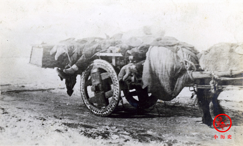 【鼠疫】新冠状病毒疫情蔓延，回看1910年清末东北大鼠疫