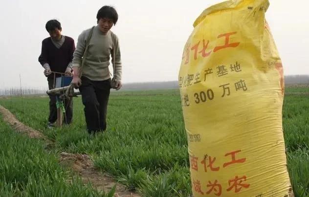 粮食@疫情导致多国禁止粮食出口，中国人的餐桌还安全吗？