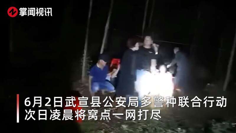 25名男女半夜在树林干这事 民警突袭现场画面曝光 真相让人惊愕