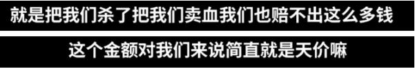 平台|两女主播遭索赔两千余万，自称不堪忍受平台涉黄！