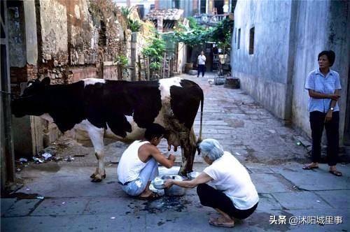 历史：1983年中国珍贵历史老照片，矜持的男女关系，拉风的警察叔叔