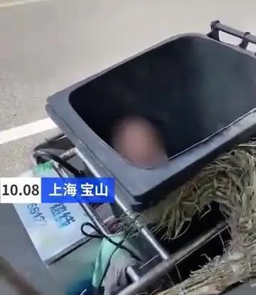 垃圾桶|上海一女子与丈夫前妻赌气 竟将自己亲生孩子扔进垃圾桶 网友：配做父母吗？