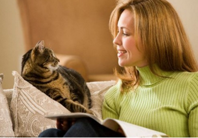 猫能听懂主人声音 未来或可与人交谈
