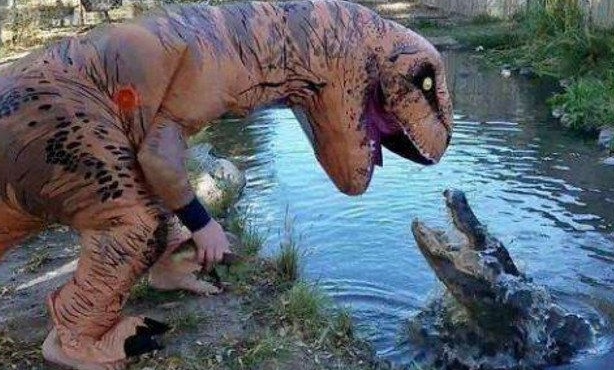 奇葩男子假扮恐龙“吓唬”鳄鱼，真的没谁了